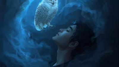 White Owl Dream Meaning:
