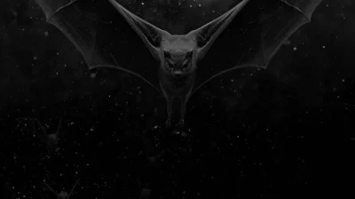 Dreaming About Bat in Dream Meaning